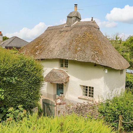 Elworthy Cottage 索尔科姆 外观 照片