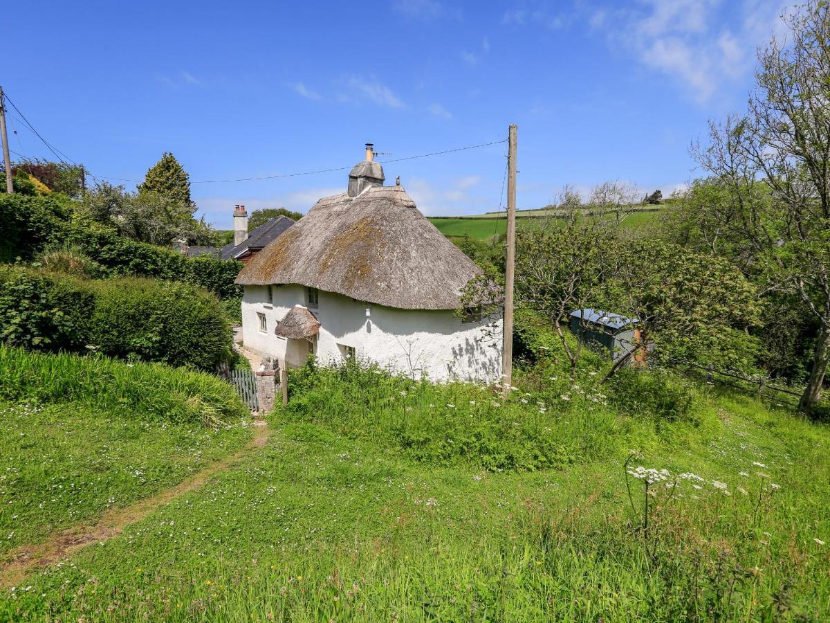 Elworthy Cottage 索尔科姆 外观 照片