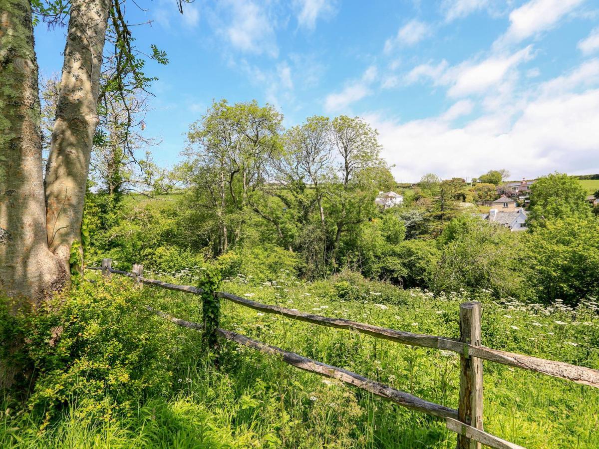 Elworthy Cottage 索尔科姆 外观 照片