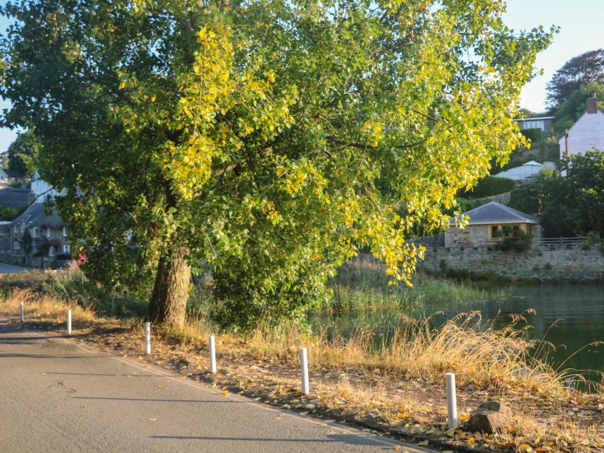 Elworthy Cottage 索尔科姆 外观 照片