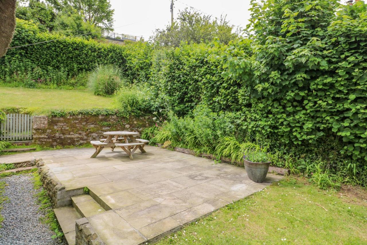 Elworthy Cottage 索尔科姆 外观 照片